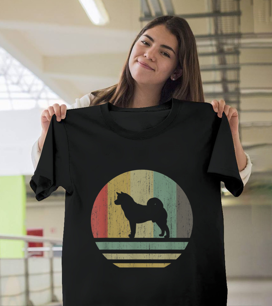 Vintage Akita Retro Sunset Stripes T-Shirt