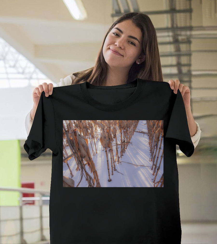 Frozen Cornfield in Winter Sunset T-Shirt
