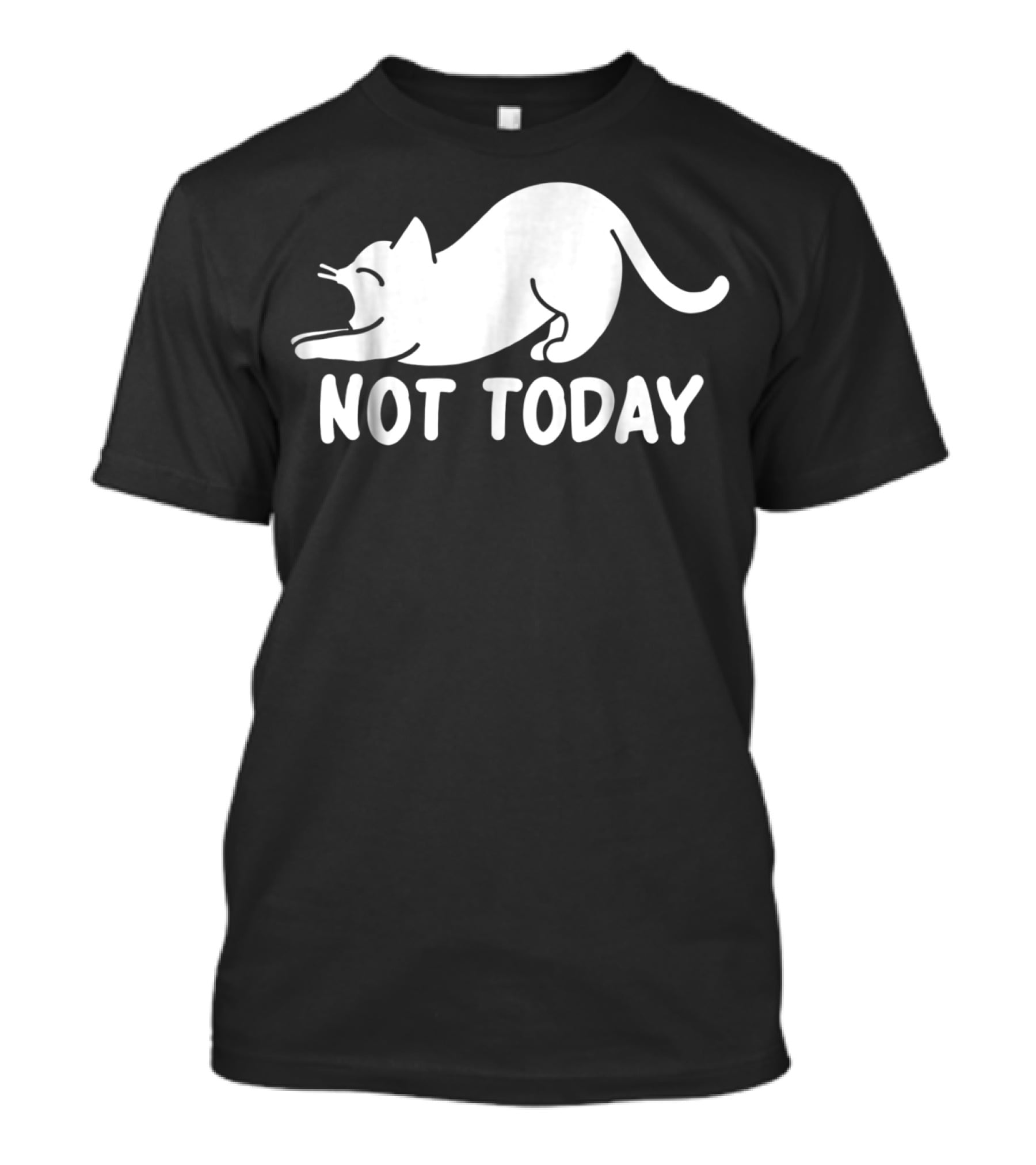 Lazy Cat Not Today Cat Lovers Cat Lady Cat T-Shirt