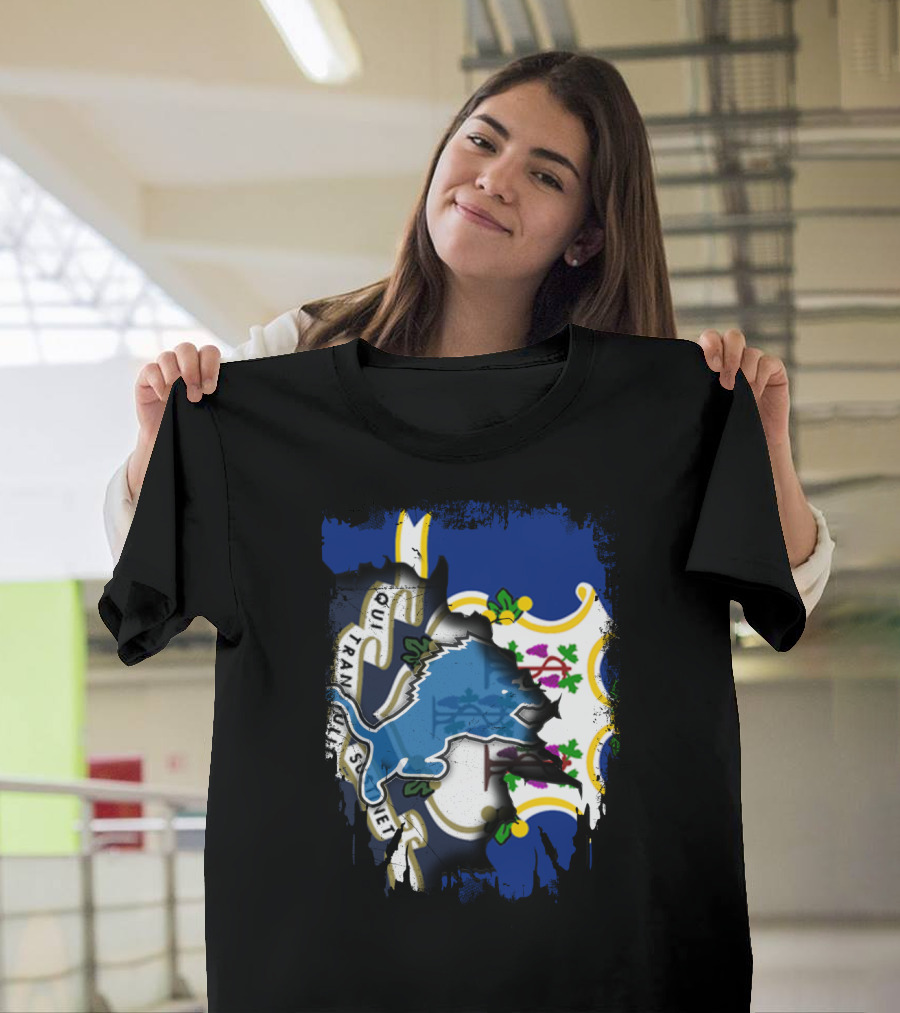 Connecticut State Flag with Detroit Lions Logo Fusion T-Shirt