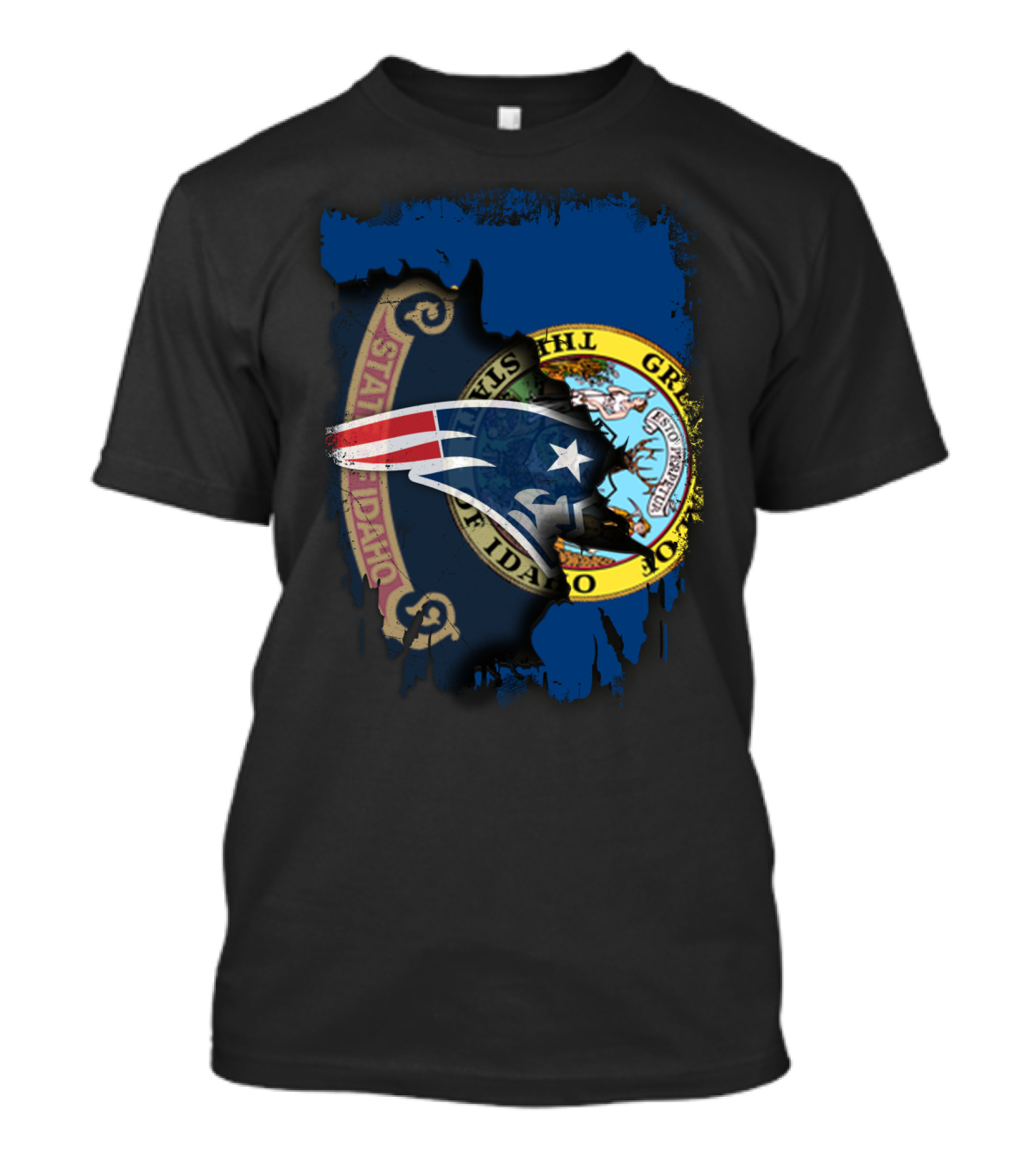 Together Idaho With New England Patriots State Seal Fusion T-Shirt