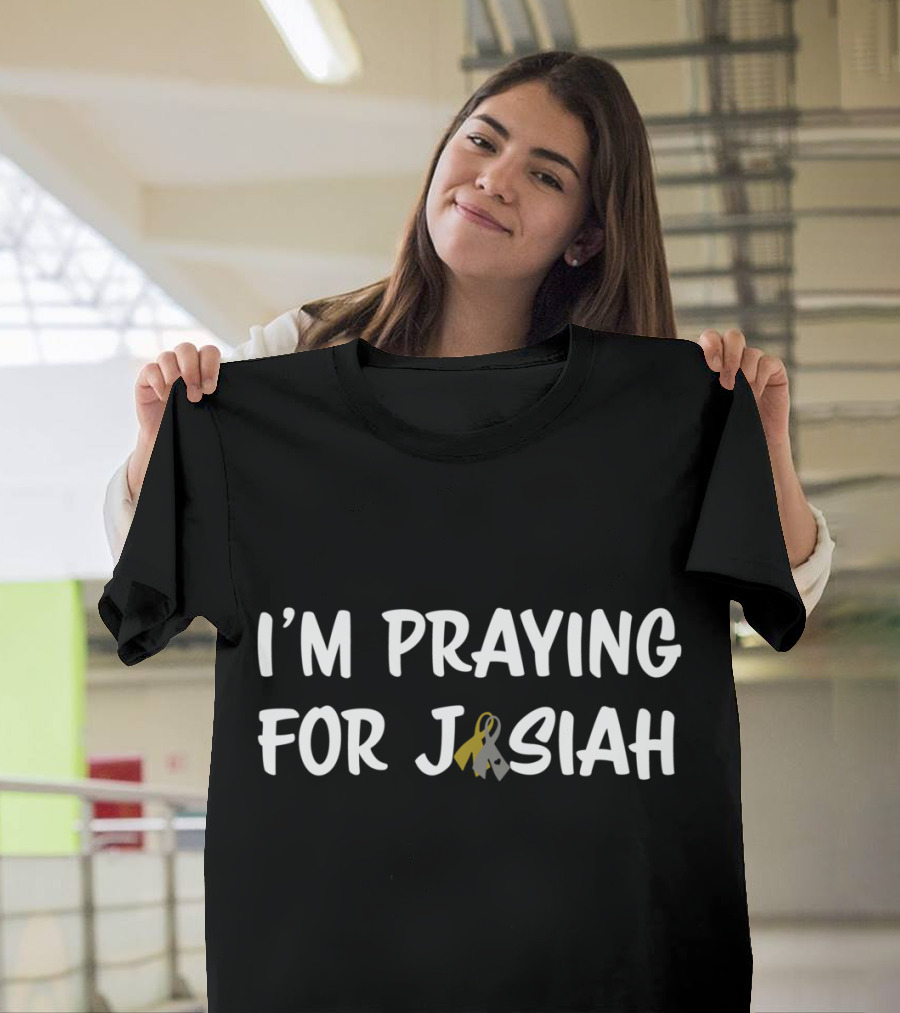 I'm Praying For Josiah Gold And Grey Awareness T-Shirt