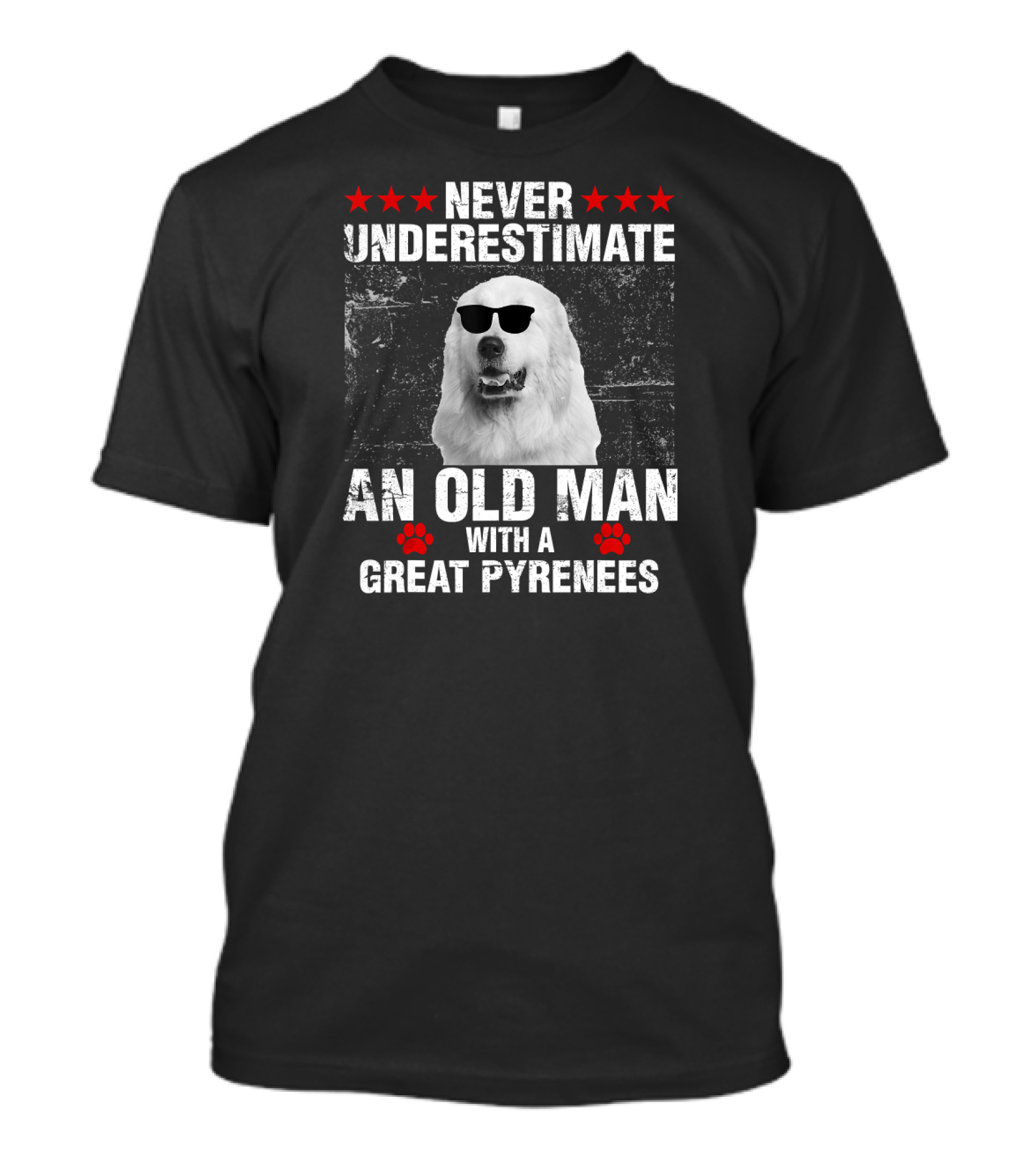 Never Underestimate An Old Man With A Great Pyrenees T-Shirt