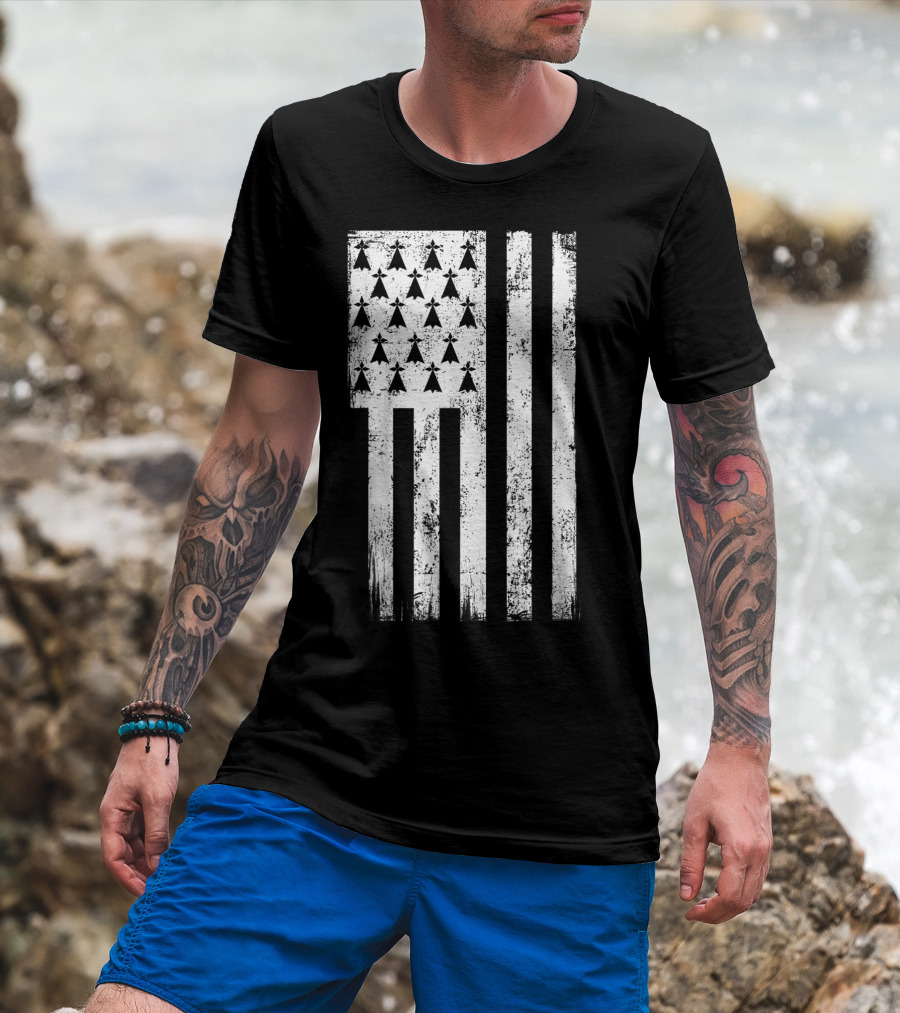 Bretagne Flag Distressed Bretagne Region Of France T-Shirt