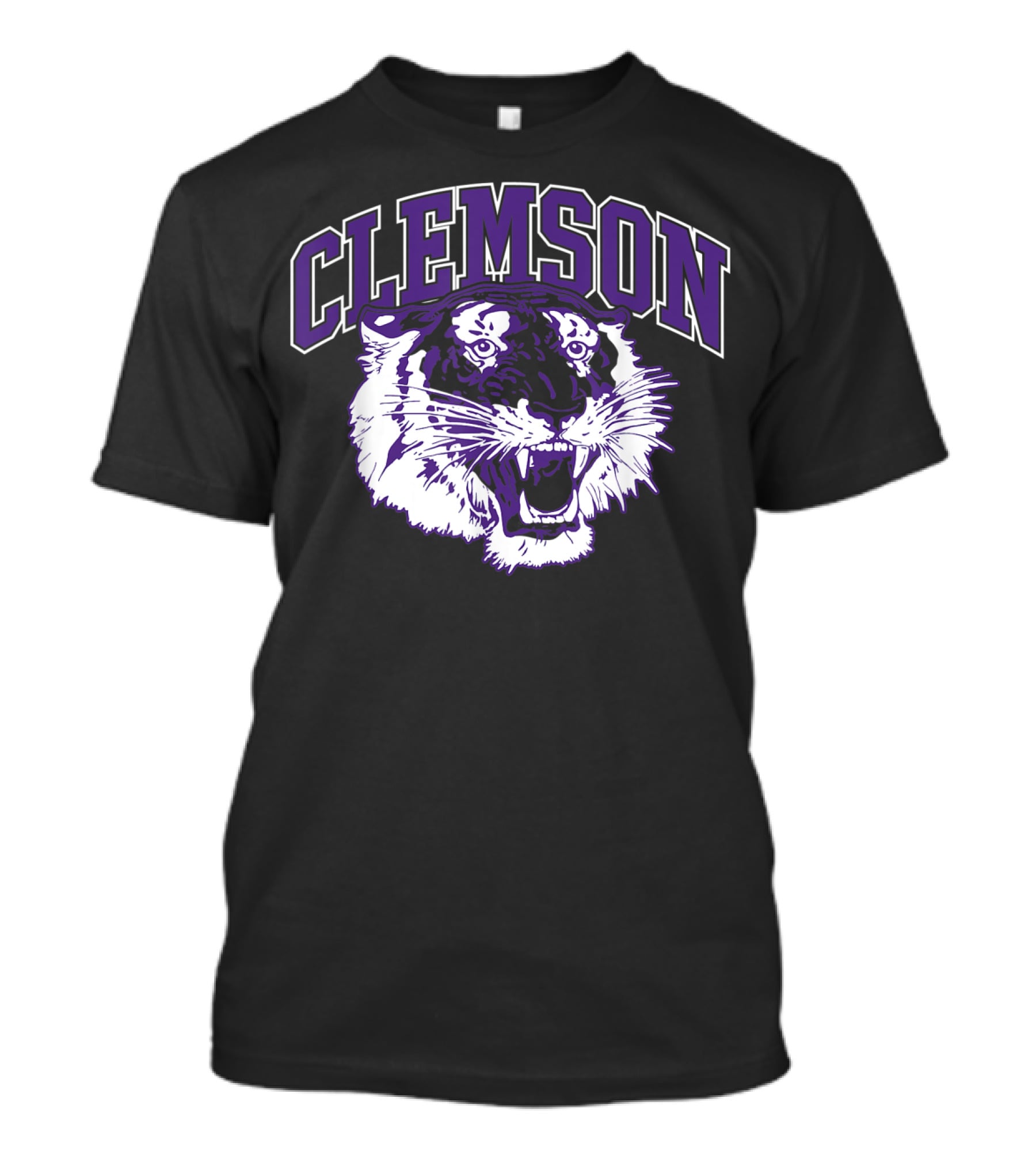 Clemson Tiger Vintage South Carolina Sports T-Shirt
