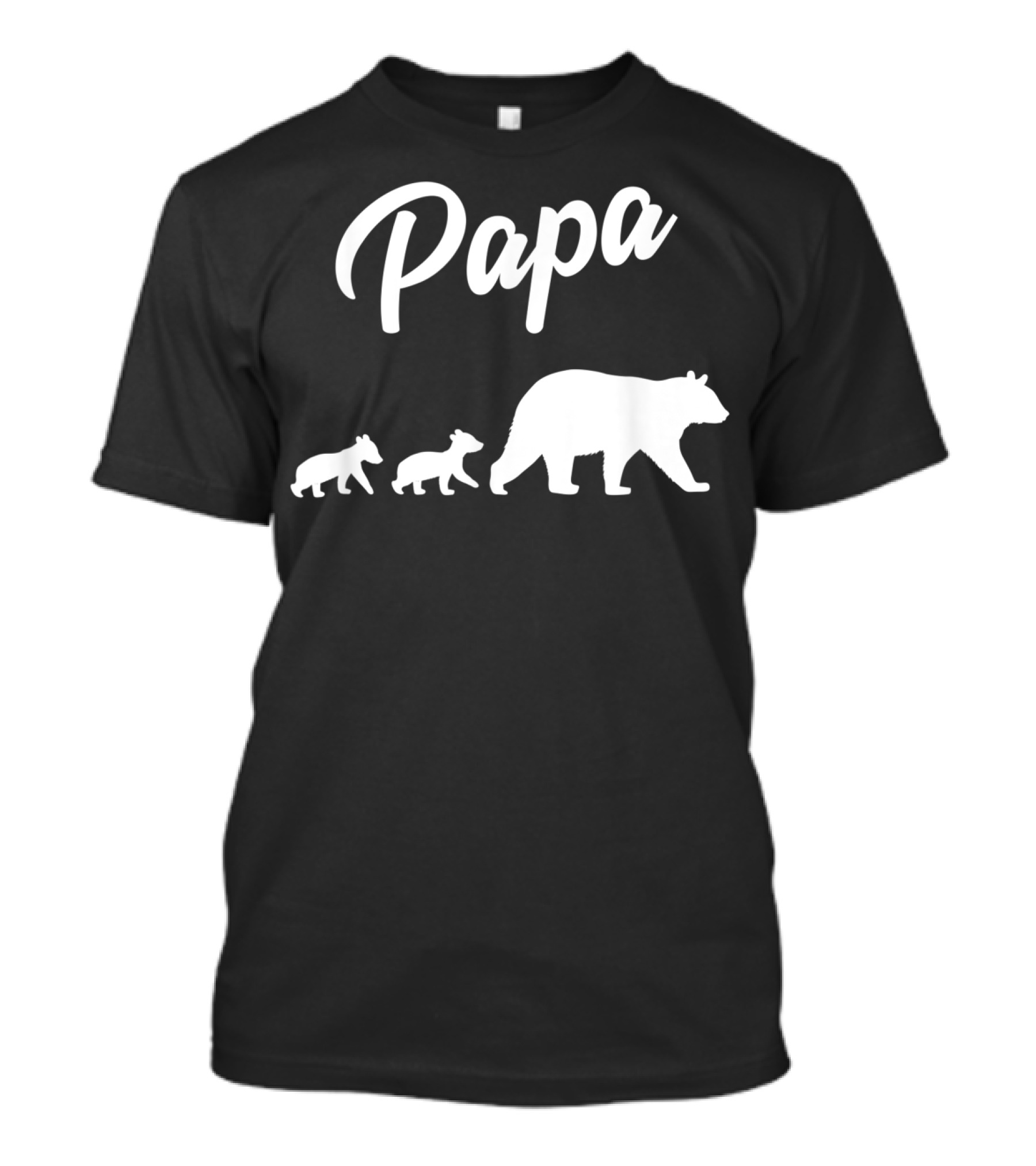 Papa Bear With Two Cubs Mens Twin Dad 2 Kids Fath T-Shirt
