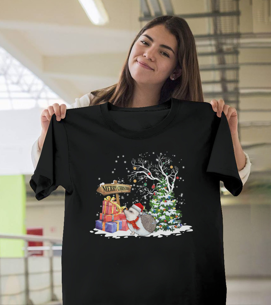 Merry Christmas Funny Hedgehog Santa Christmas Hedgehog Lover T-Shirt