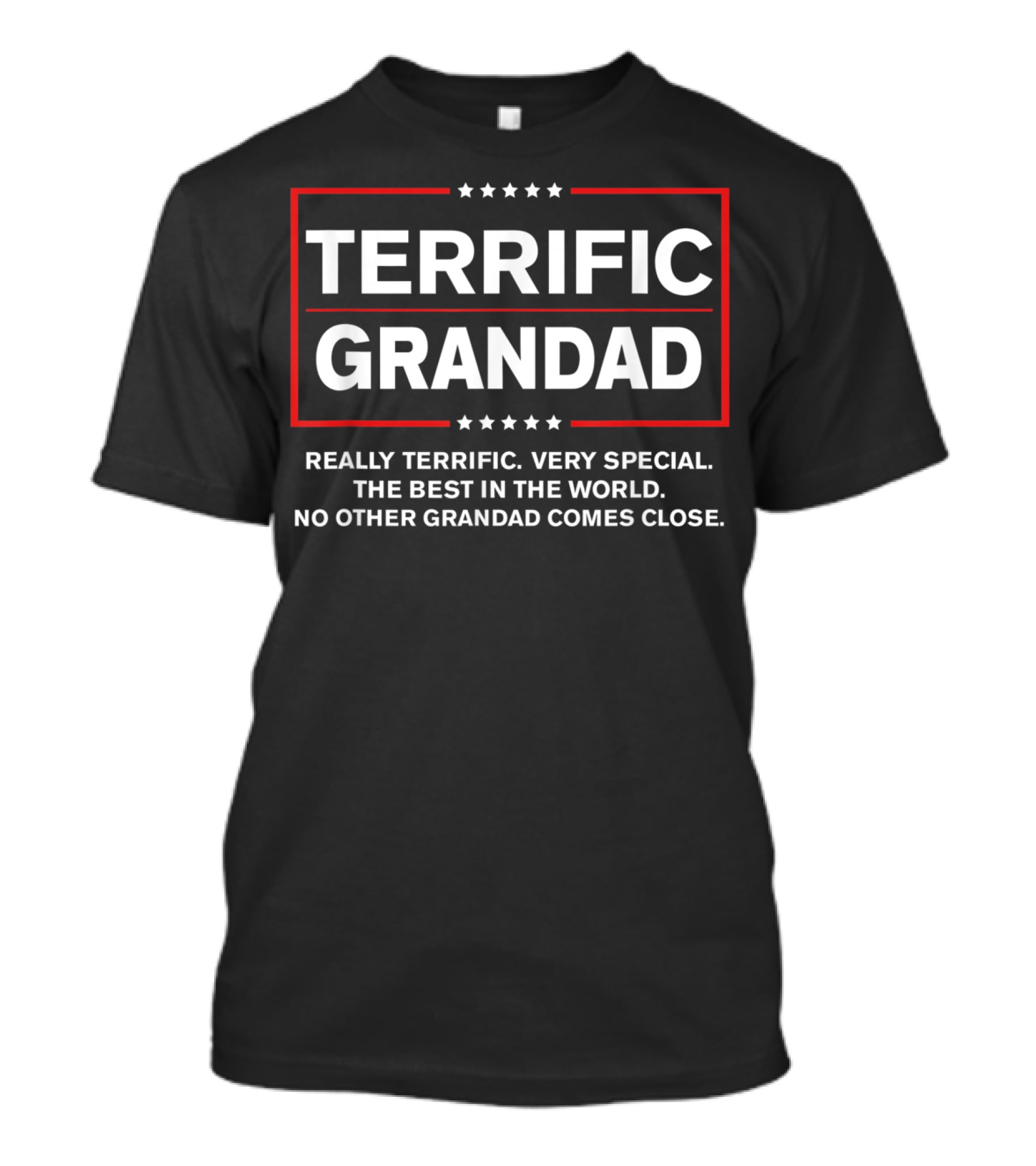 Terrific Grandad Really Terrific Very Special The Best In The World No Other Grandad Comes Close T-Shirt