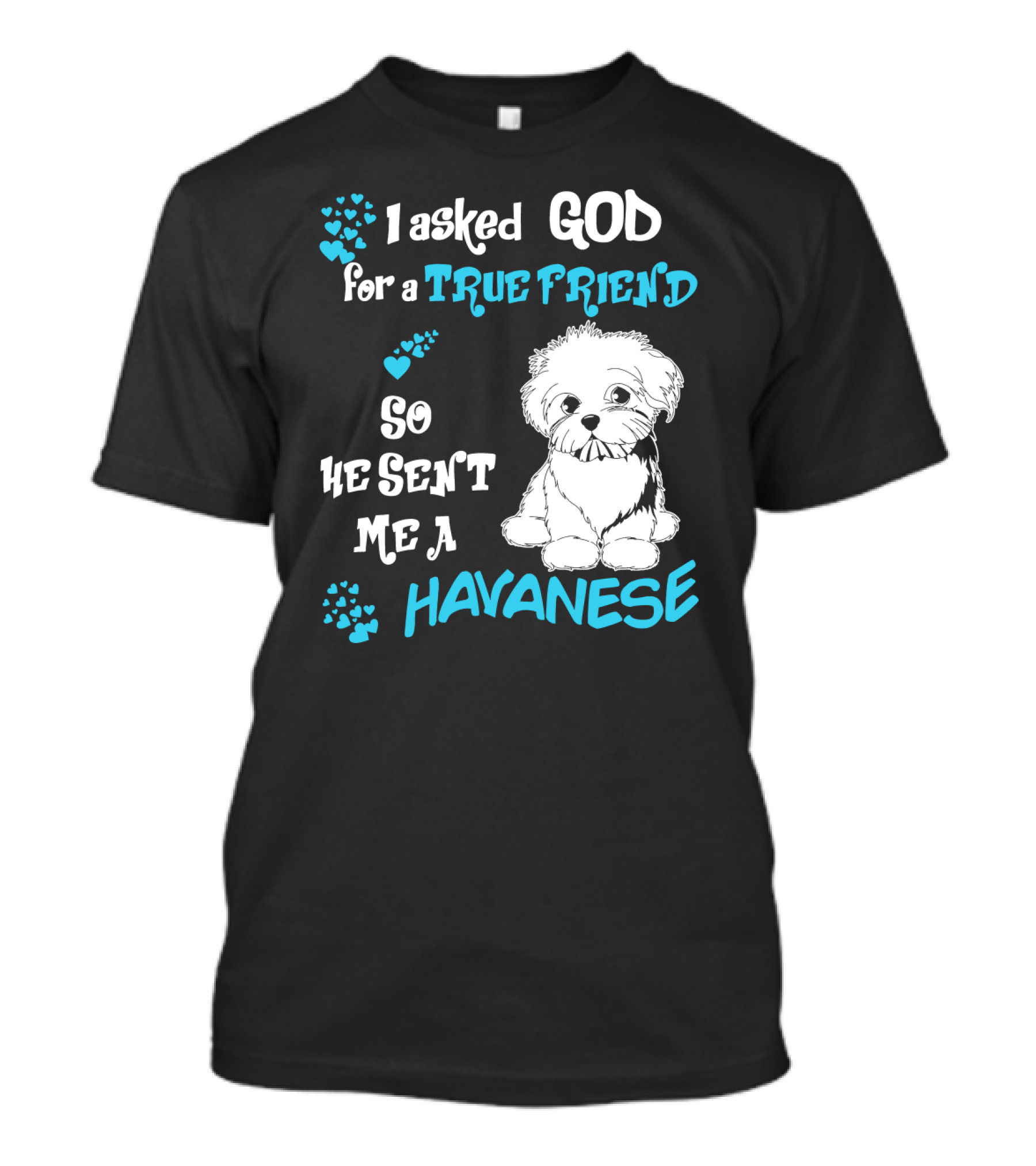 I Asked God For A True Friend So He Sent Me A Havanese T-Shirt