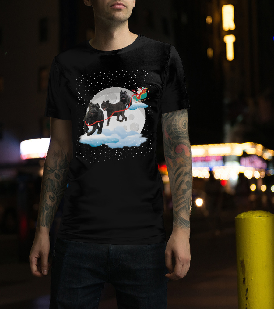 Santa Rides Cane Corso Sleigh With Full Moon And Snowflakes T-Shirt