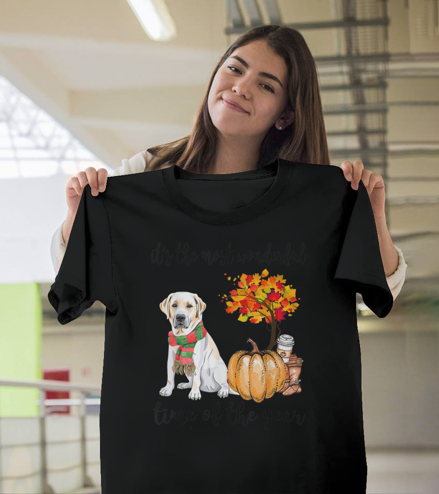 Labrador Autumn Fall Most Wonderful Time Maple Pumpkin Cozy Season T-Shirt