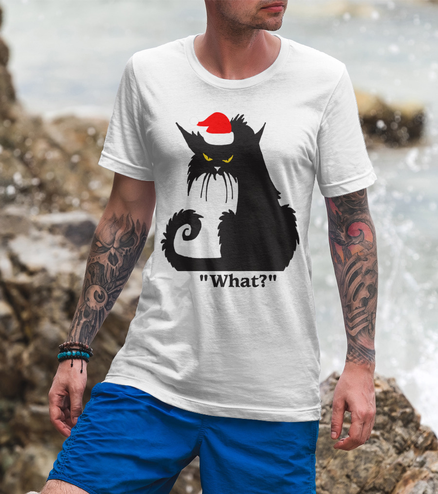 What Cat With Santa Hat T-Shirt