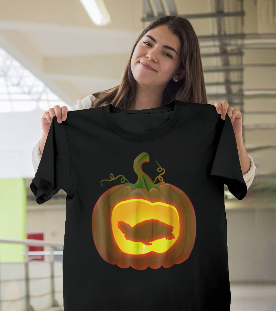 Redeared Slider Turtle Pumpkin Carving T-Shirt