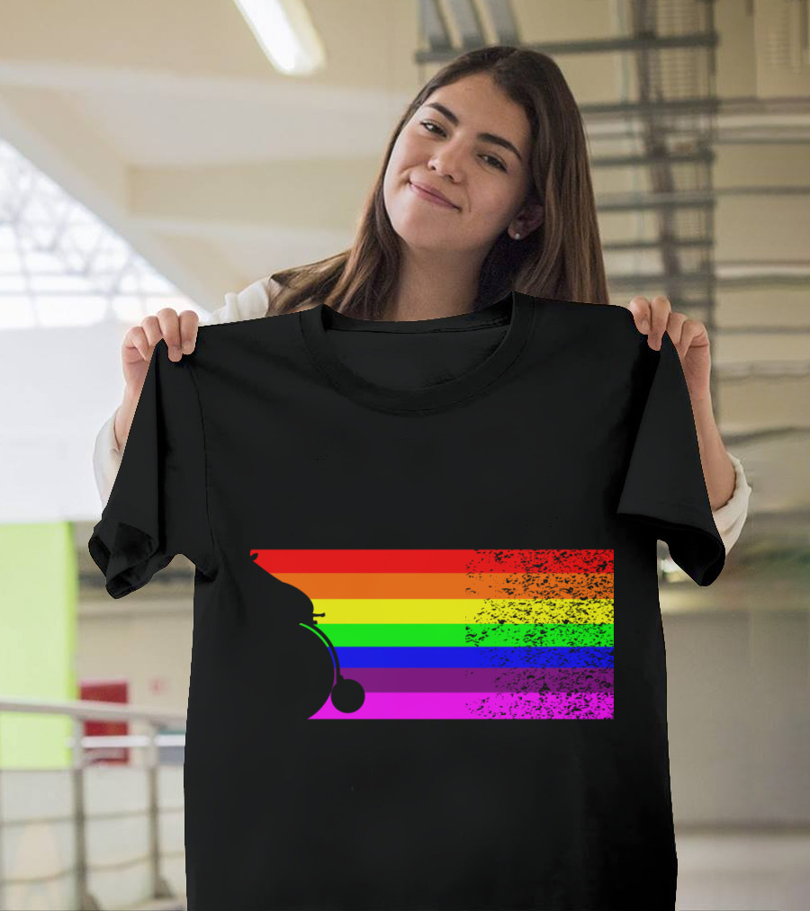 Giraffe Riding A Bike with Retro Rainbow Stripes T-Shirt