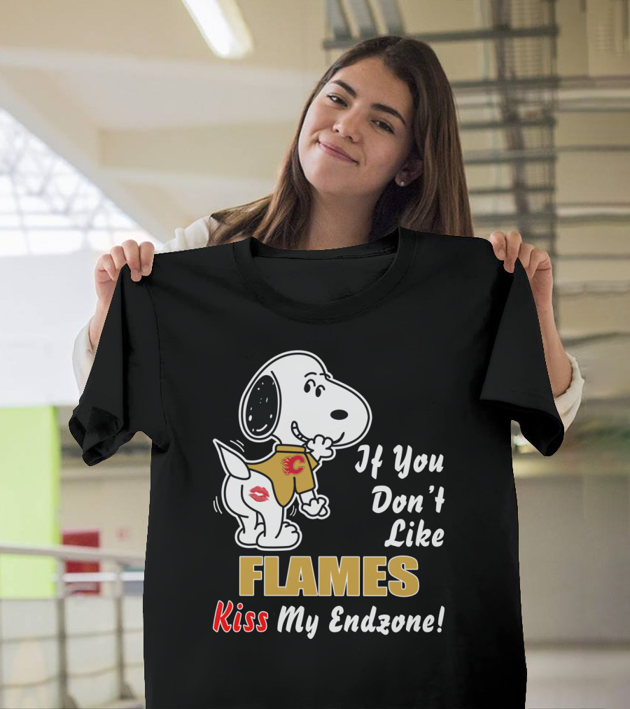 If You Don't Like Flames Kiss My Endzone T-Shirt