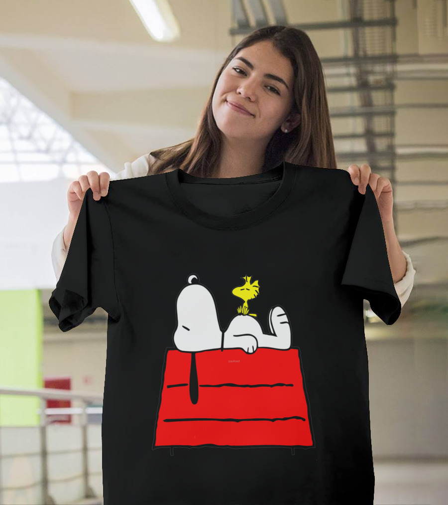 Snoopy Sleeping On Red Doghouse With Woodstock T-Shirt