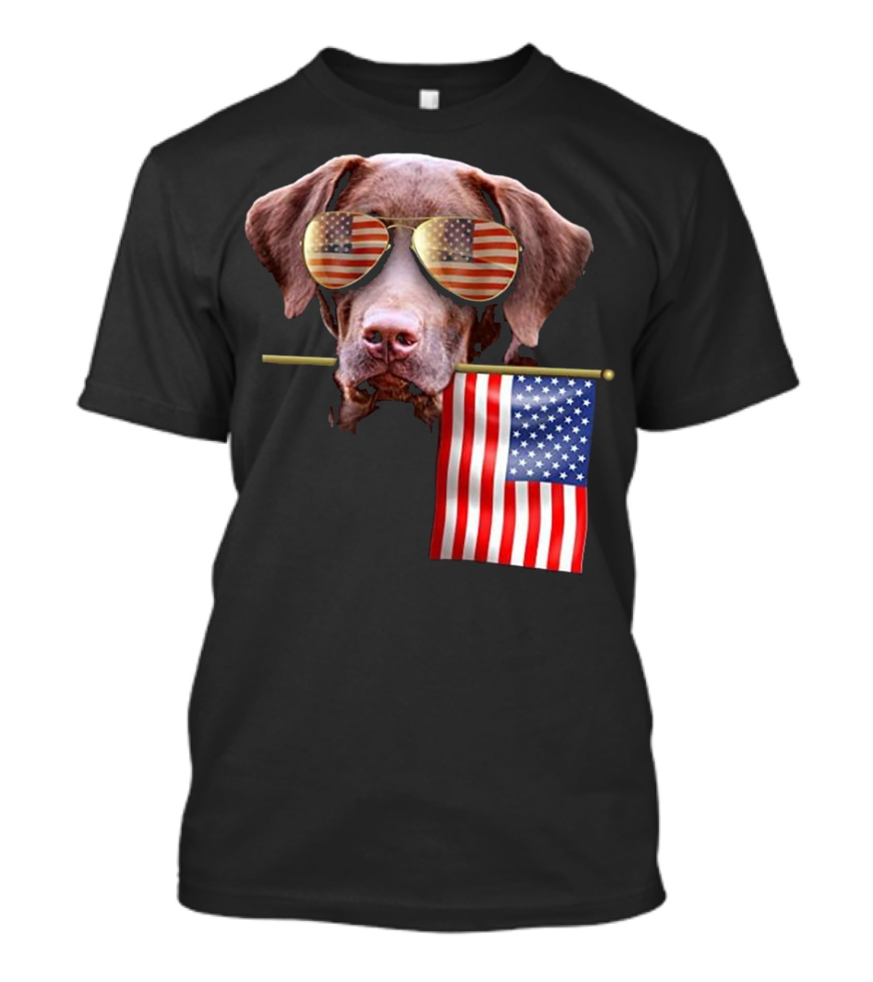 Pitbull Dog With American Flag Sunglasses And Flag T-Shirt