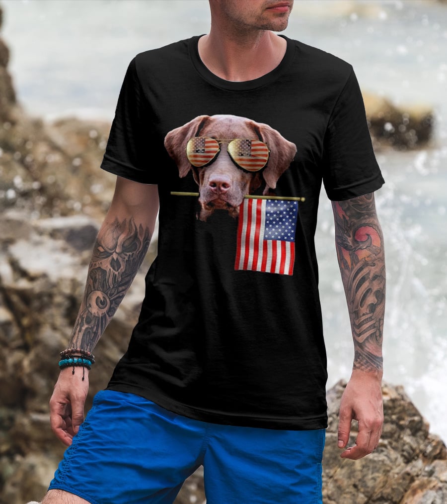 Pitbull Dog With American Flag Sunglasses And Flag T-Shirt