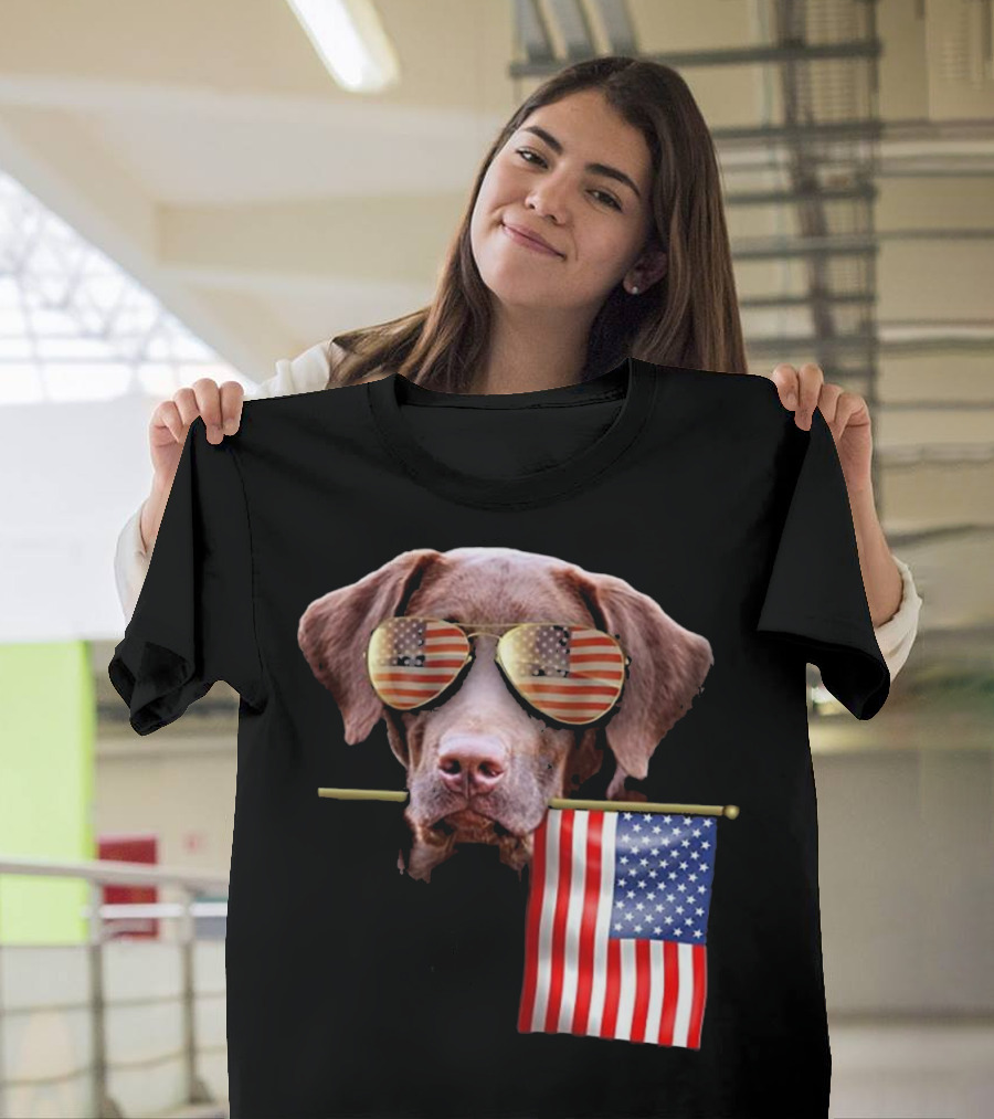 Pitbull Dog with American Flag Sunglasses and Flag T-Shirt