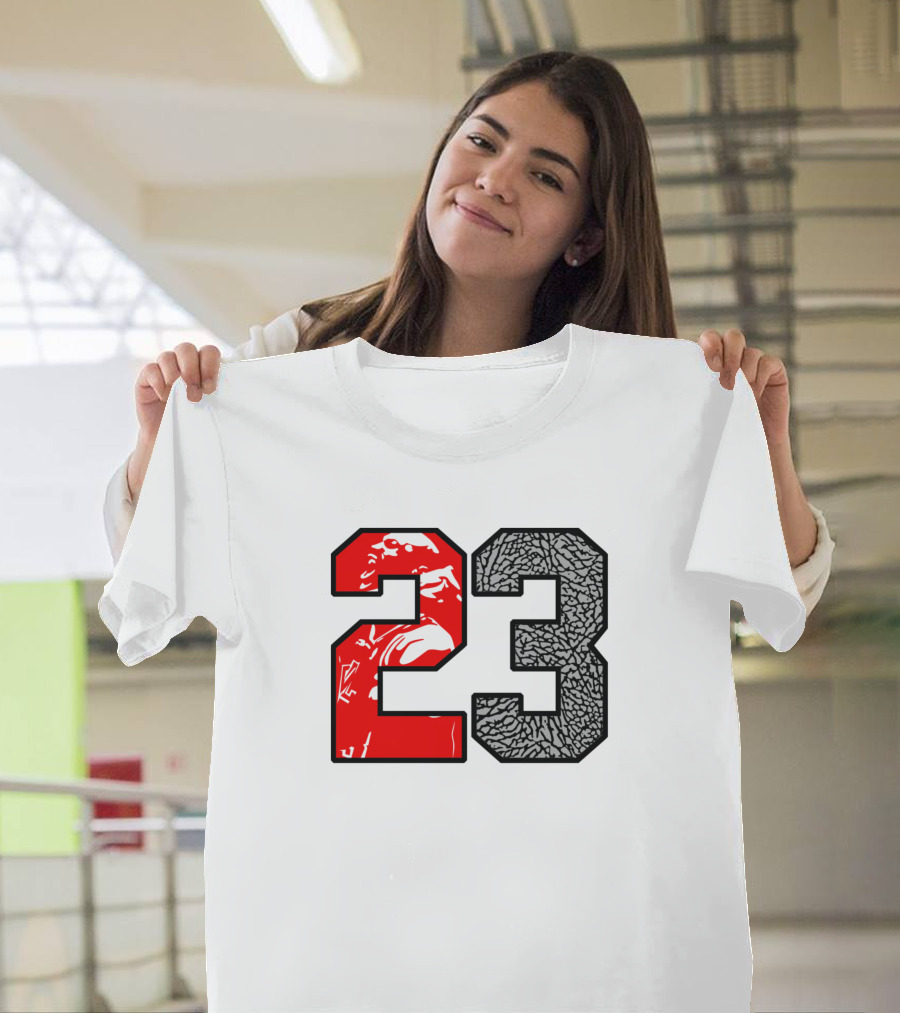Jordan 23 Iconic Cement T-Shirt
