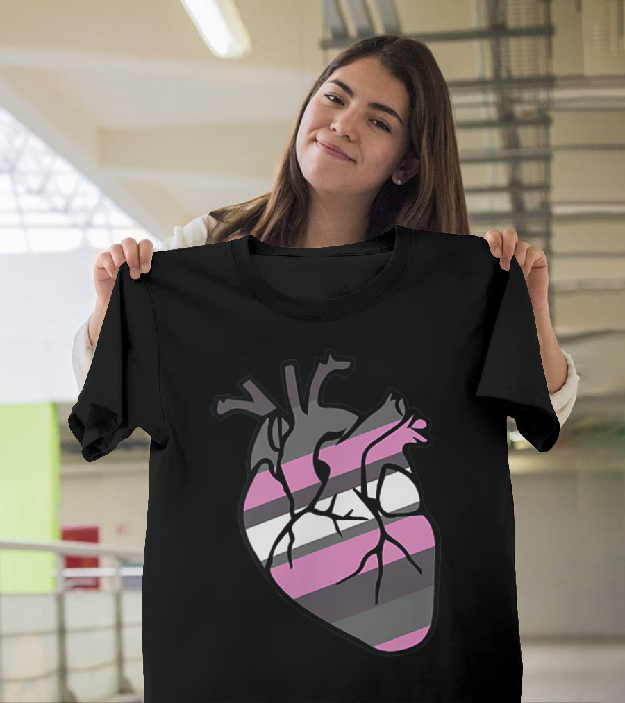 Demigirl Pride Anatomical Heart Stripes T-Shirt