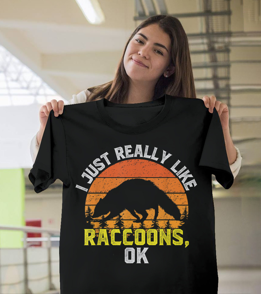 I Just Really Like Raccoons Ok Sunset T-Shirt