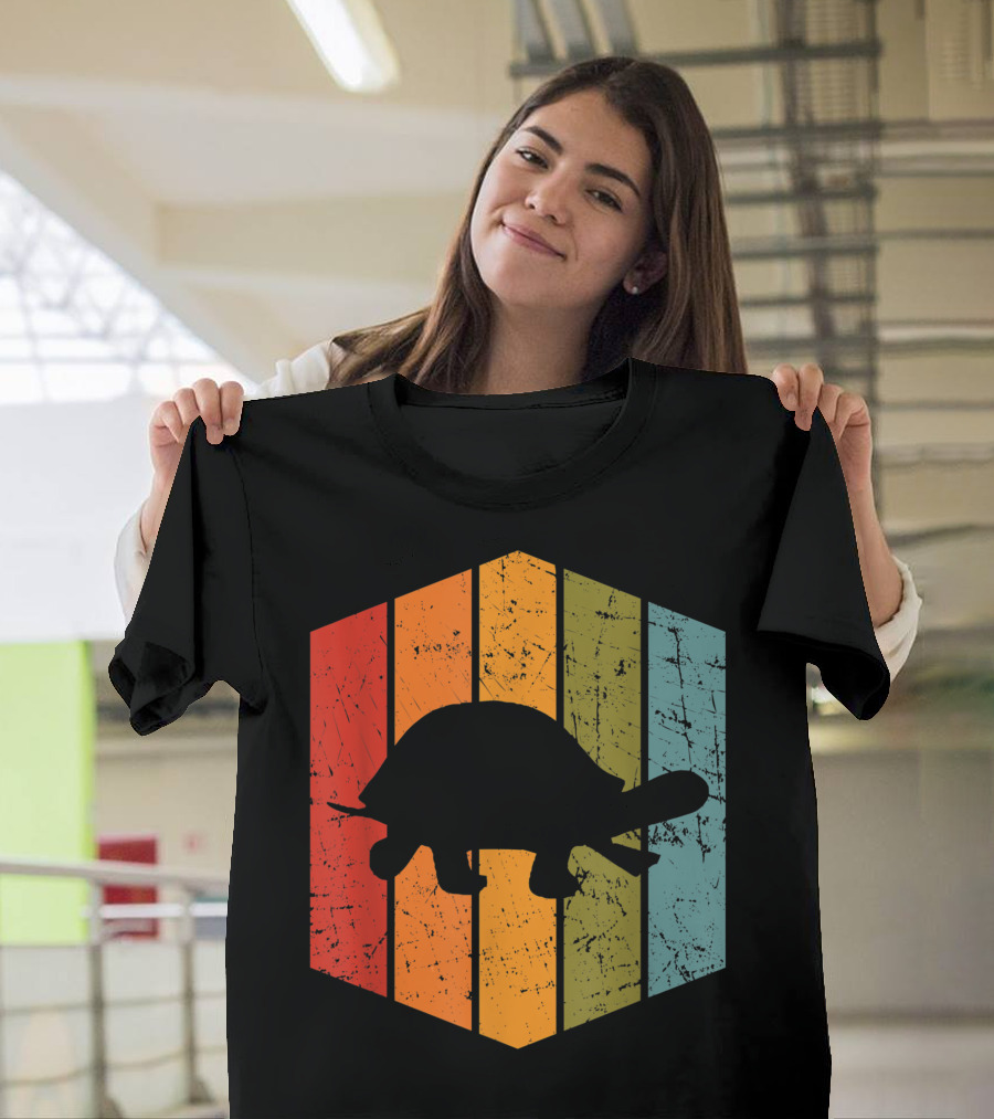 Vintage Turtle Retro Stripes Animal Lover Turtle T-Shirt