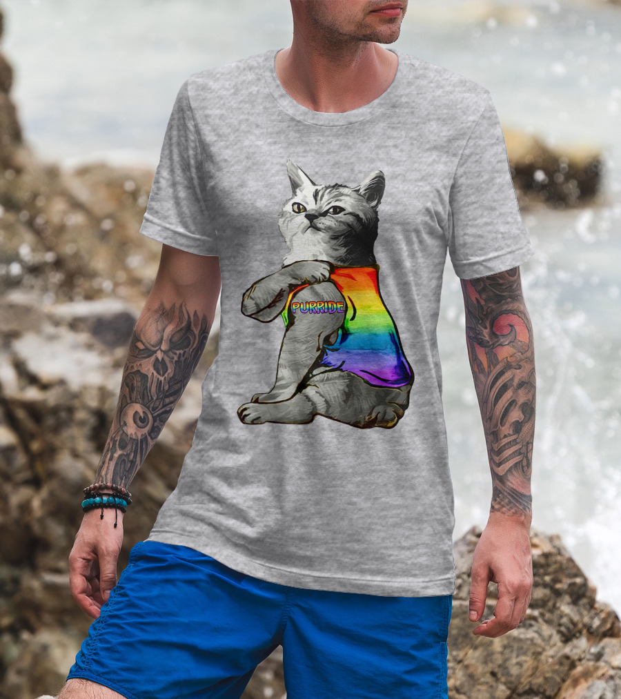 Purride Cat In Rainbow Colors T-Shirt