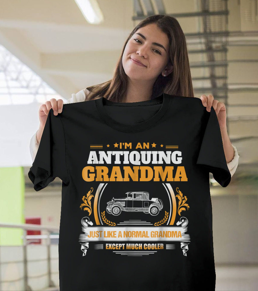 I'm An Antiquing Grandma Just Like A Normal Grandma Except Much Cooler T-Shirt