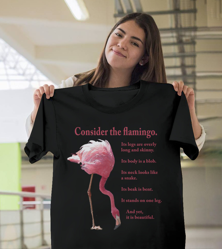 Consider the Flamingo Legs Overly Long Skinny Body a Blob Neck Snake Beak Bent Stands One Leg Beautiful T-Shirt