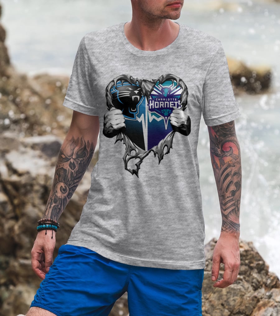 Carolina Panthers Charlotte Hornets Heart T-Shirt