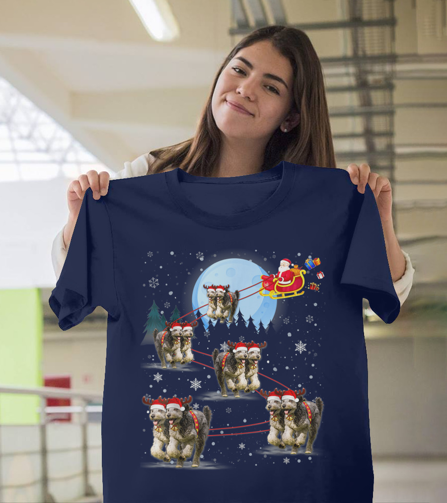 Funny Reindeer Santa With Dogs Pulling Sleigh By Moonlight T-Shirt