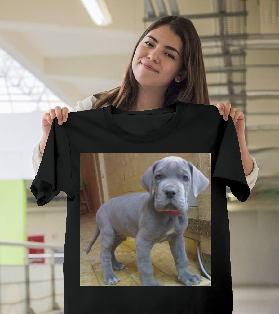Adorable Blue Great Dane Puppy with Red Collar T-Shirt