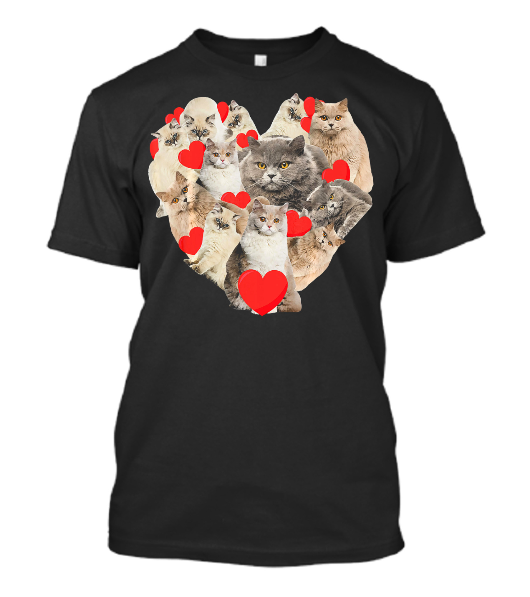 Valentines Day Heart Of British Longhair Cats With Red Hearts T-Shirt