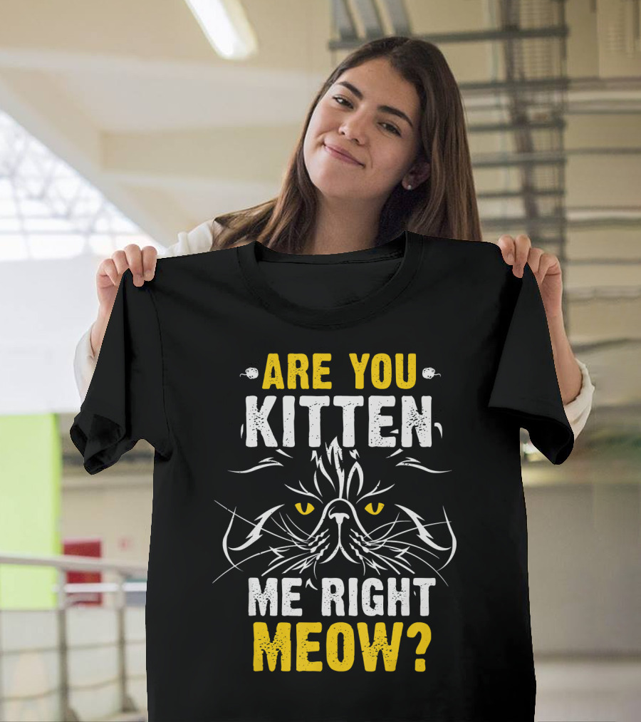 Are You Kitten Me Right Meow Cat Pun Joke T-Shirt
