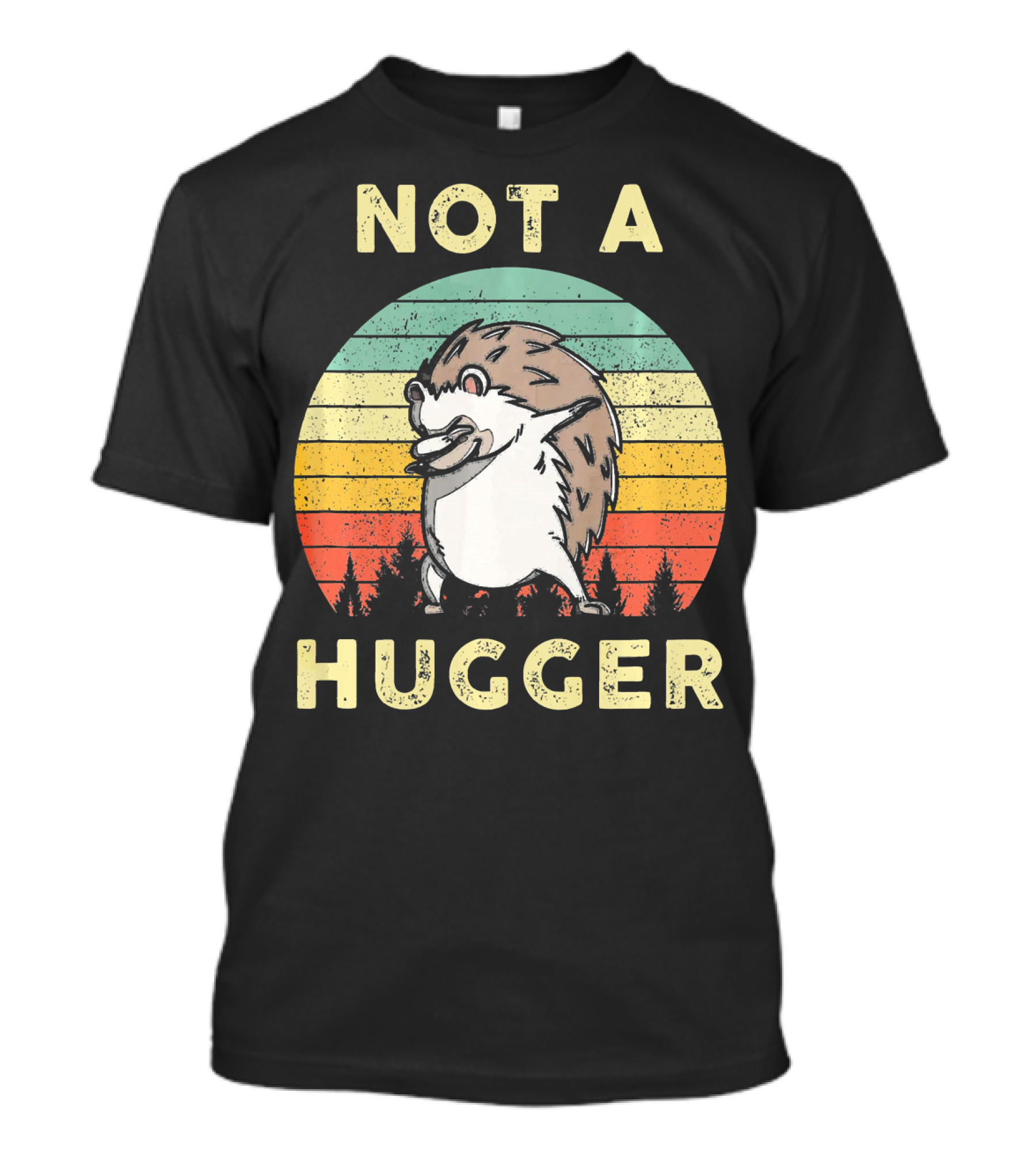 Not A Hugger Vintage Hedgehog Retro Stripes T-Shirt