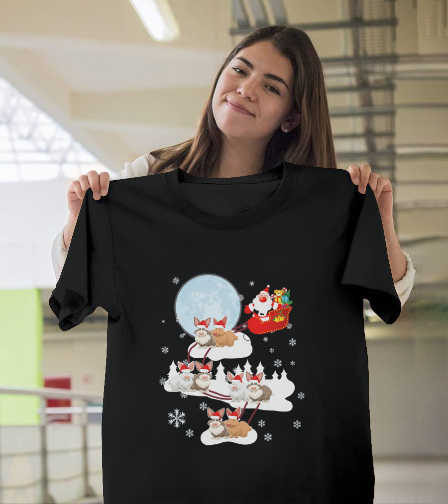 Santa Rabbit Sleigh with Festive Moon and Snowflakes T-Shirt