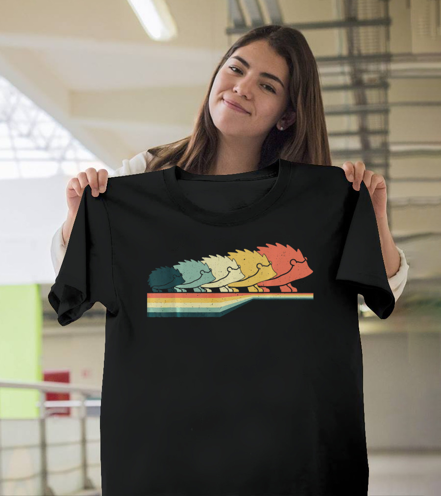 Vintage Retro Hedgehog Animal Lover Rainbow Zook T-Shirt