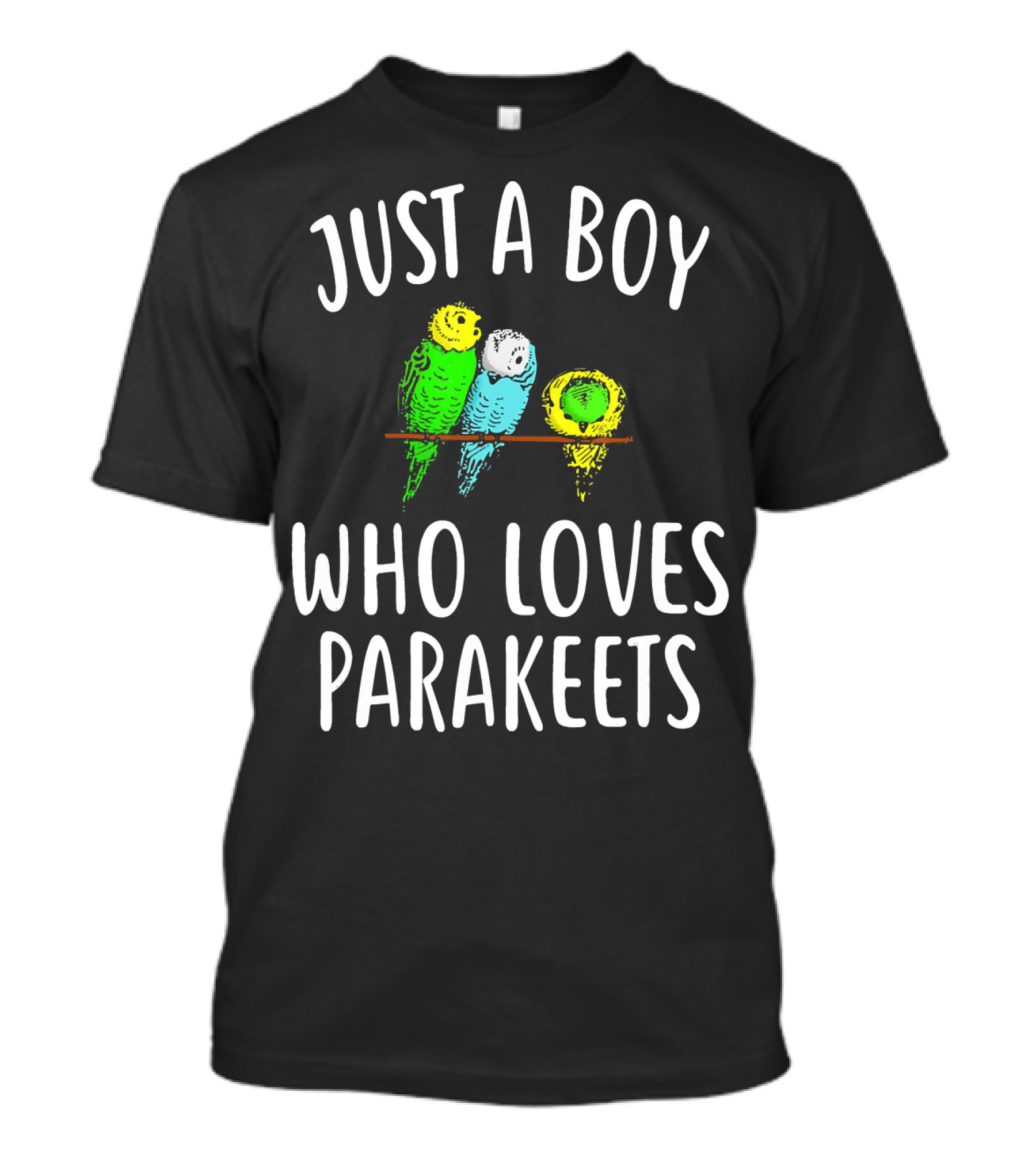 JUST A BOY WHO LOVES PARAKEETS PARROT BIRD PET ENTHUSIAST PASSIONATE OWNER FANATIC OBSESSION FEATHERED FRIENDS BUDGIE LOVER HOBBYIST VIBRANT COLORS T-Shirt