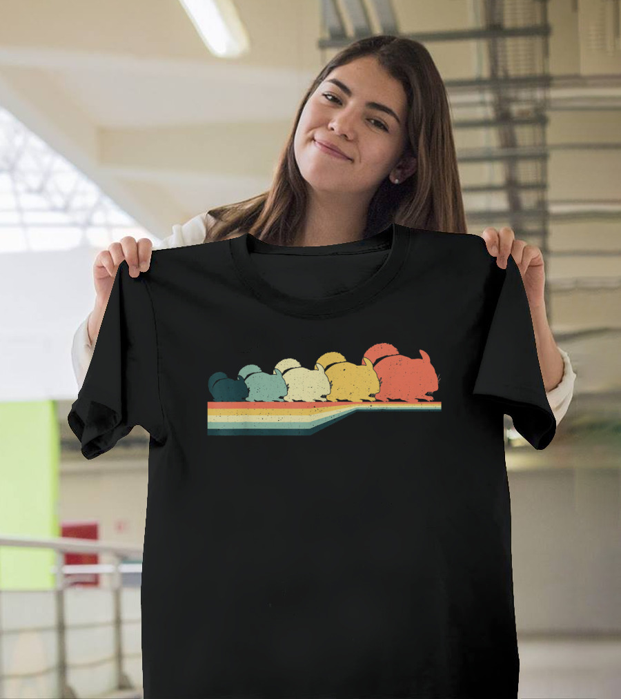 Chinchilla Retro Vintage Striped Rainbow T-Shirt