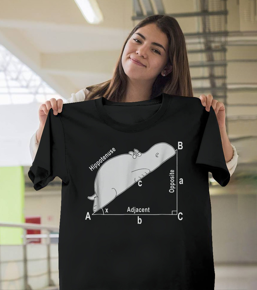 Hippo Math Analytical Hypotenuse Funny Sarcasm T-Shirt