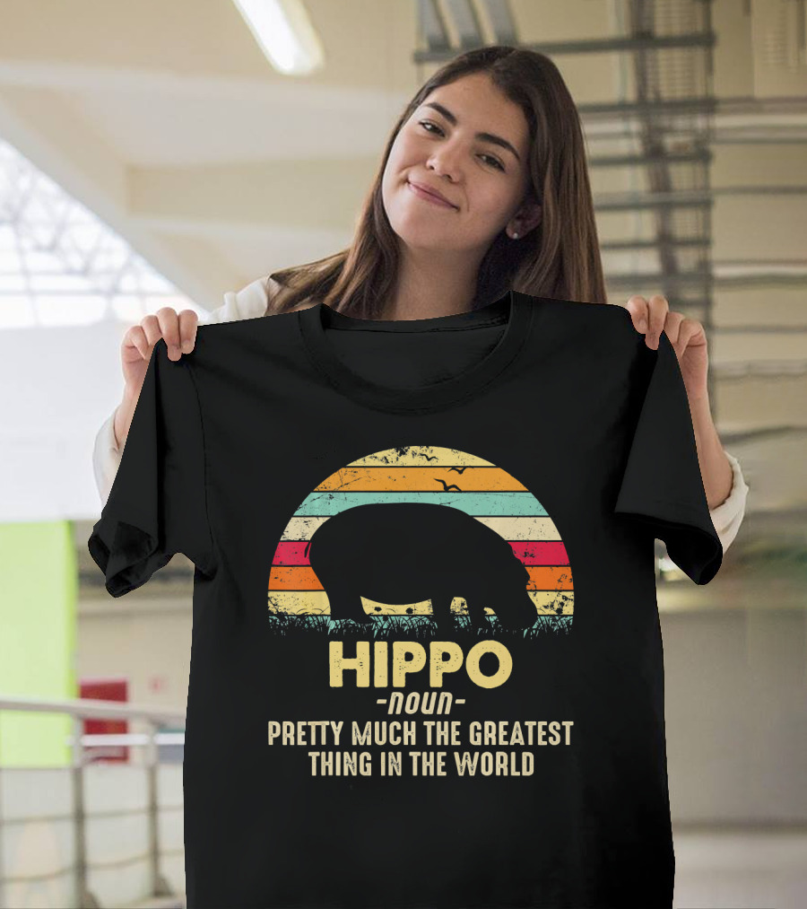 Vintage Hippo Noun Pretty Much the Greatest Thing in the World Retro Stripes T-Shirt
