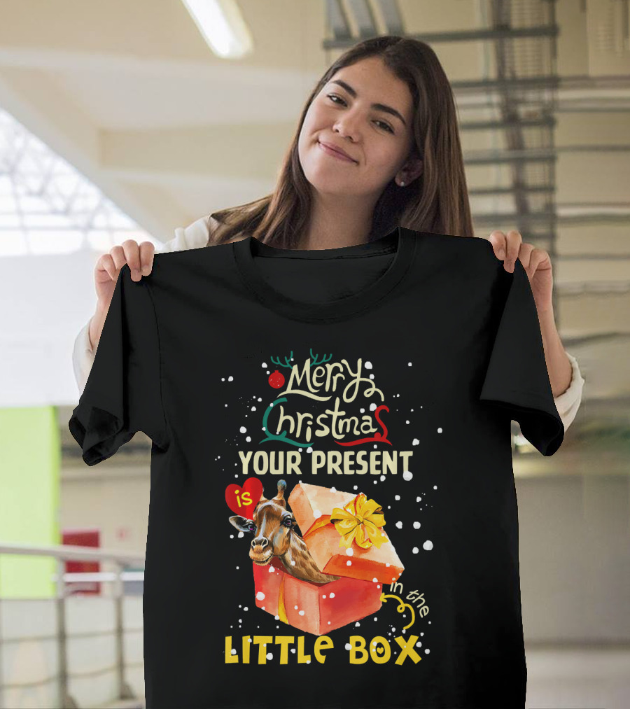 Merry Christmas Your Present Is in the Little Box T-Shirt