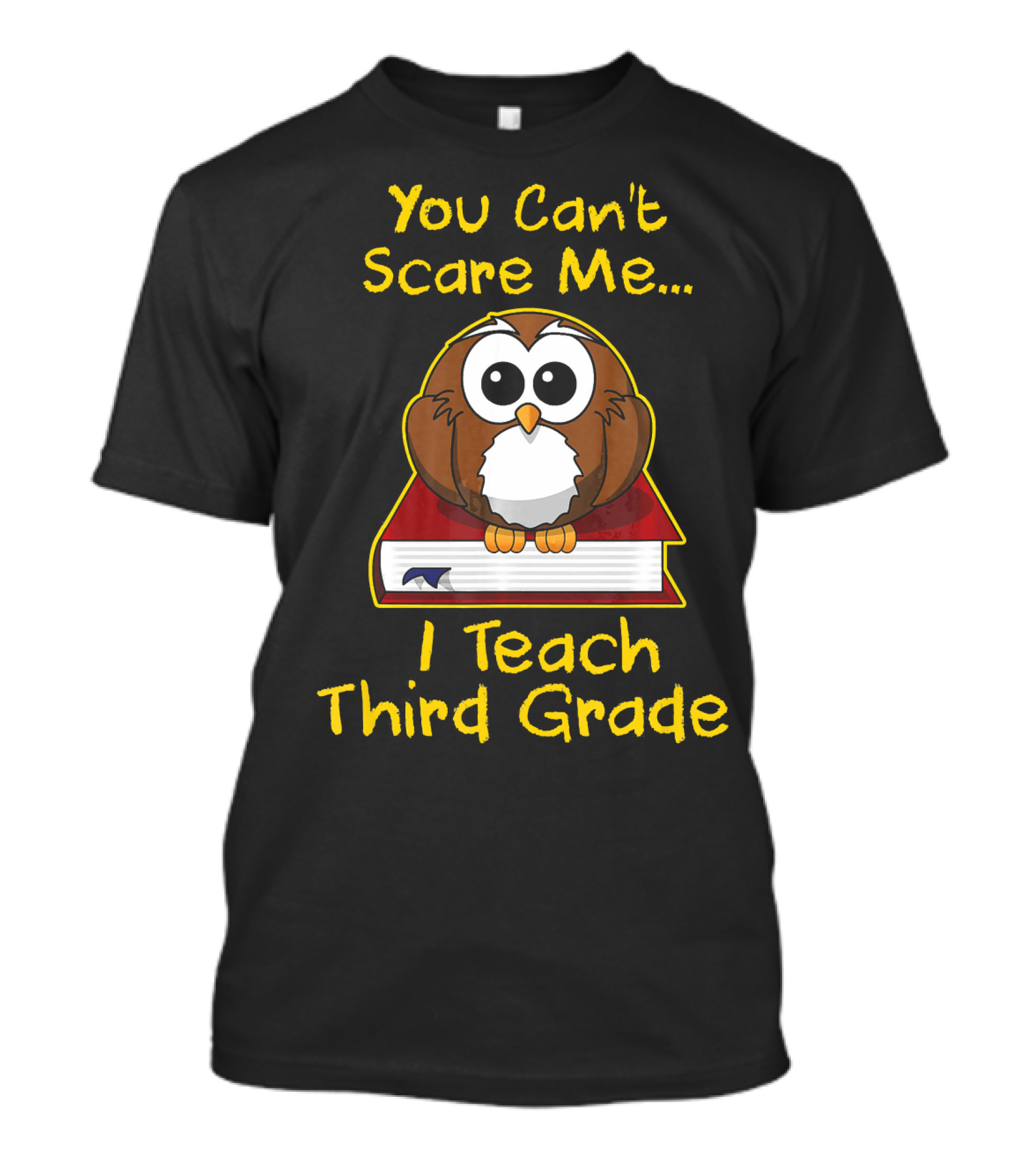 You Can't Scare Me I Teach Third Grade Owl On Book T-Shirt