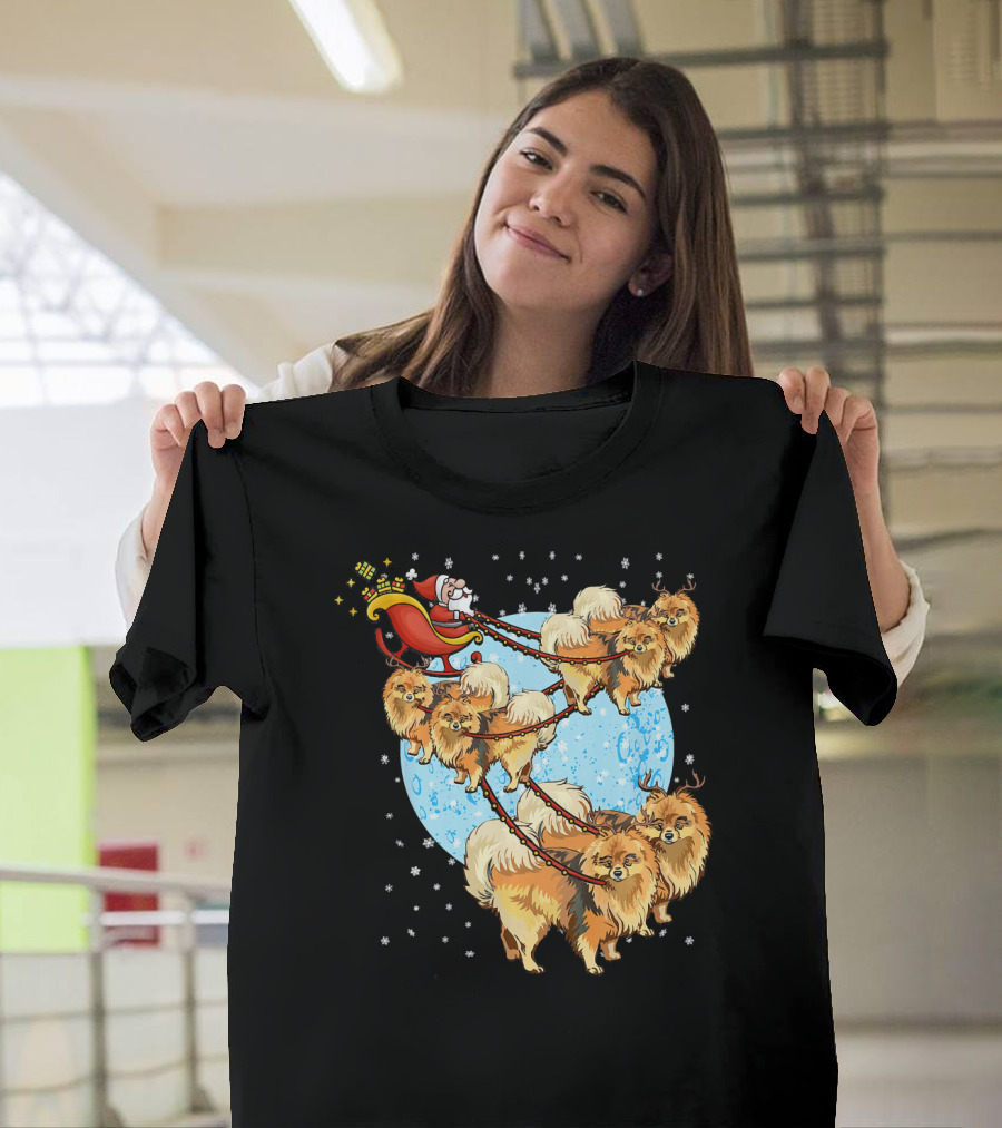 Pomeranian Dog Team Pulling Santa's Sleigh on Christmas Night T-Shirt