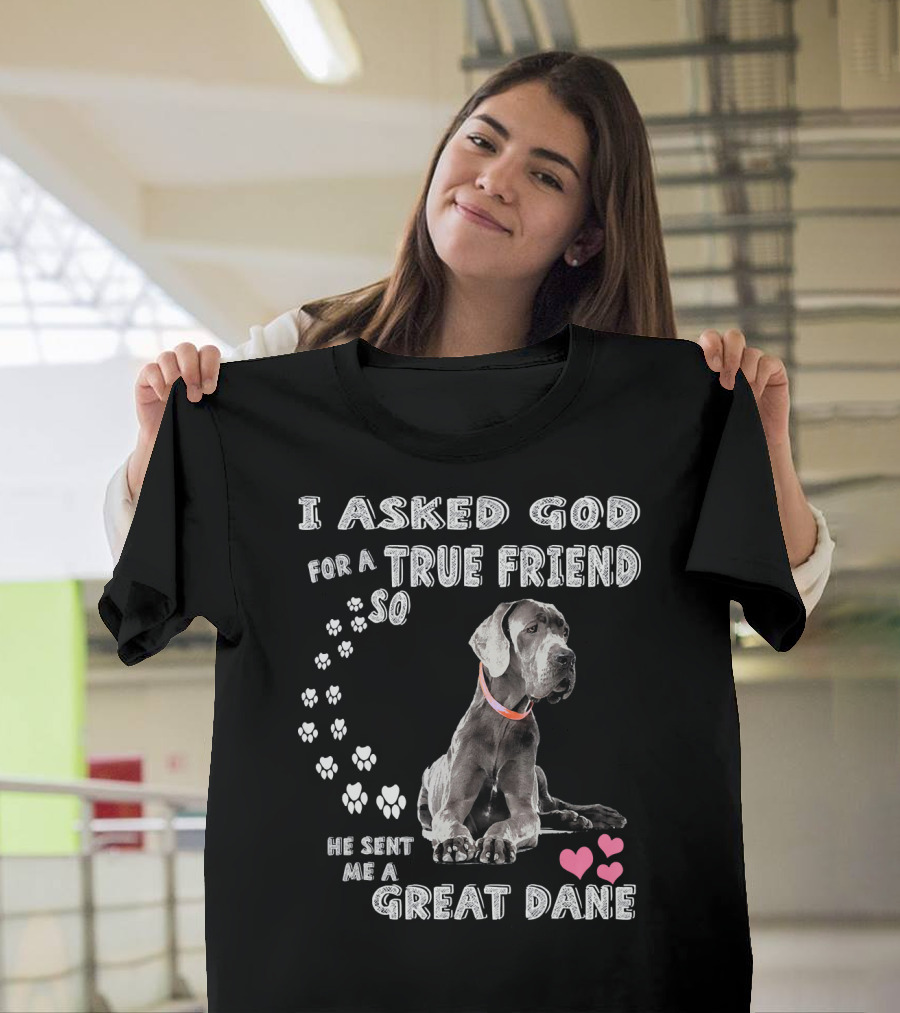 I Asked God for a True Friend So He Sent Me a Great Dane T-Shirt