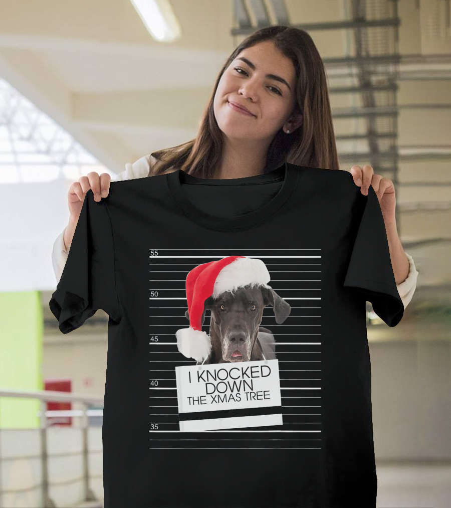 Great Dane Dog I Knocked Down The Xmas Tree Santa Hat Holiday Mugshot T-Shirt