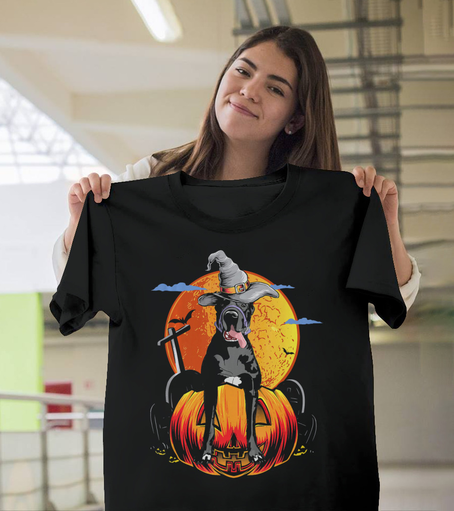 Great Dane Halloween Pumpkin Hat Witch Moon Clouds T-Shirt