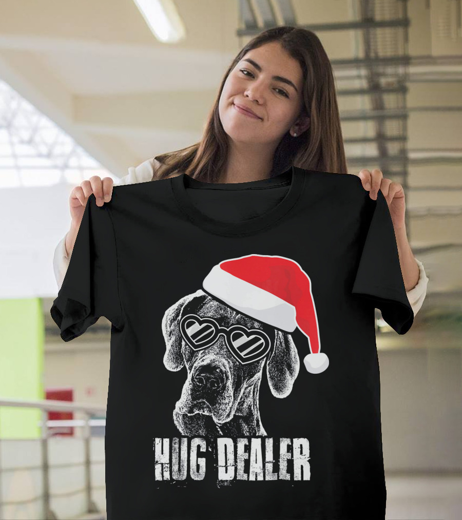 Hug Dealer Great Dane Santa Hat Heart Glasses T-Shirt