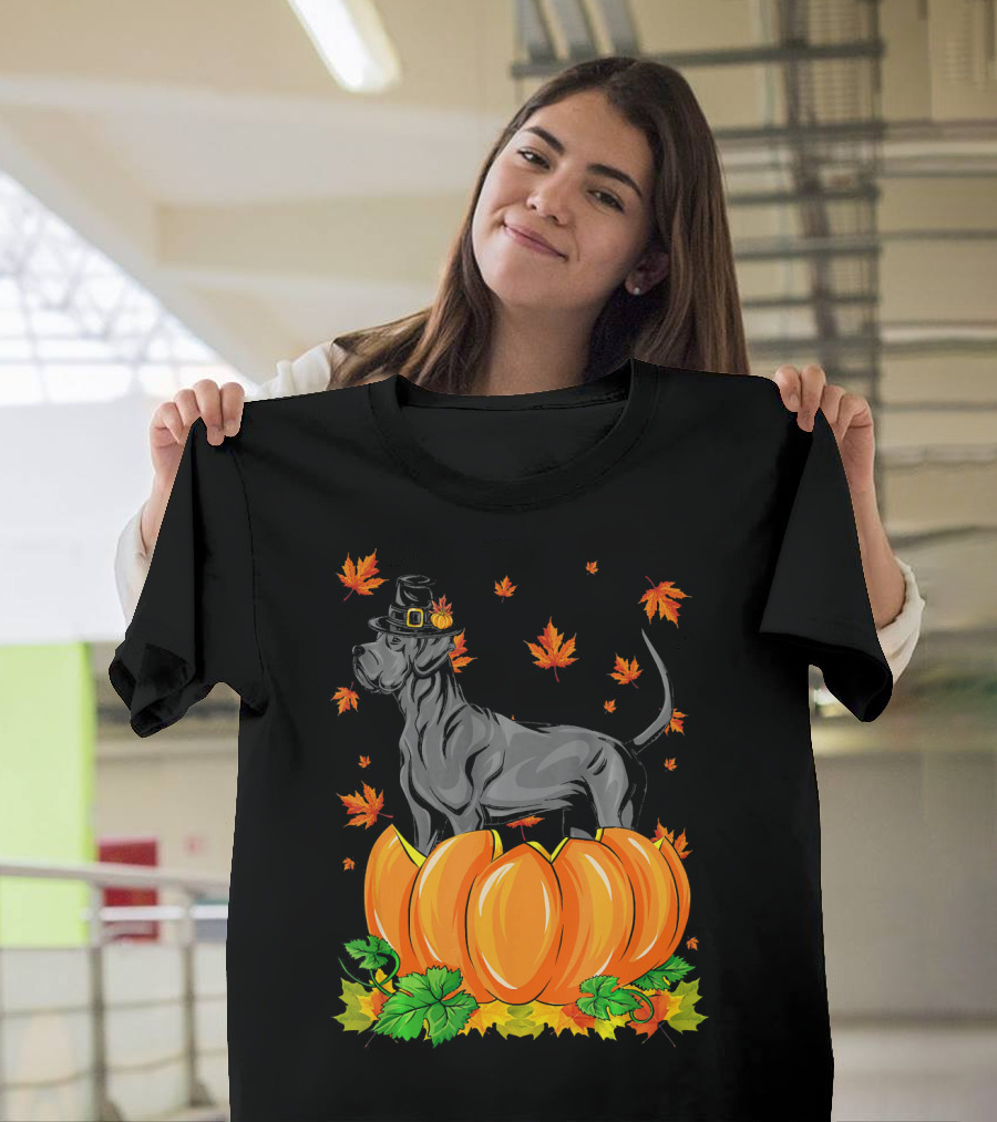 Thanksgiving Great Dane Dog with Pilgrim Hat and Pumpkins T-Shirt